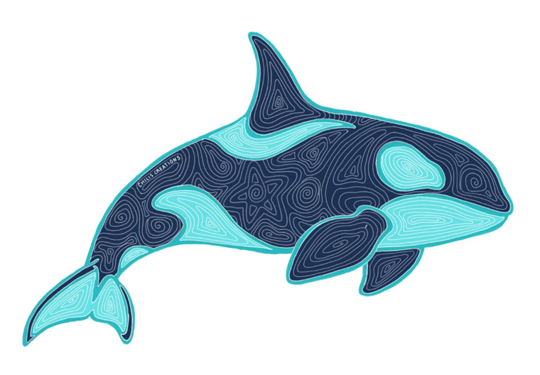 Orca original artwork cutout