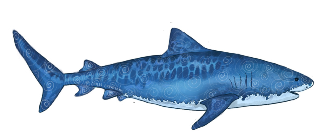 Tiger shark original artwork cutout