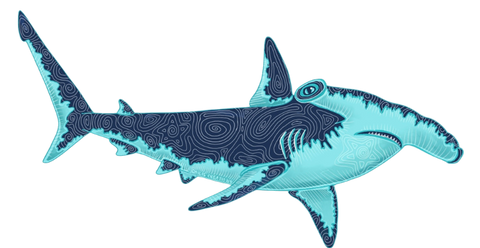 Hammerhead sticker