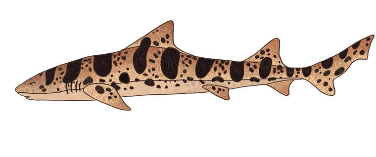 Leopard shark original artwork cutout