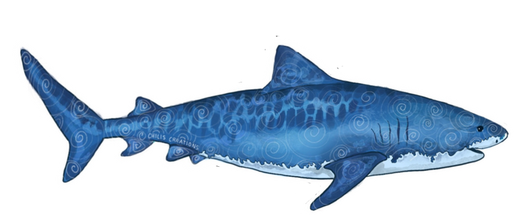 Tiger shark original artwork cutout